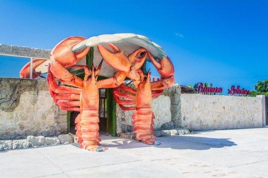 Bavaro Lobster