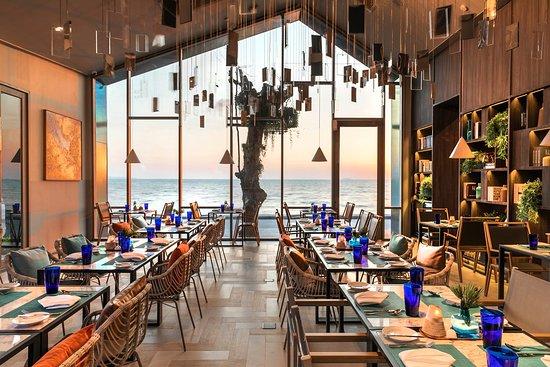 Salt Restaurant