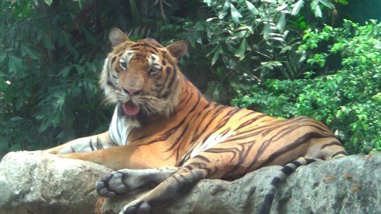 Dusit Zoo