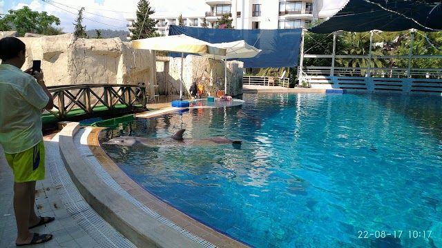 Kemer Dolphiniarum