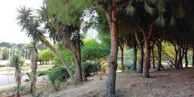 Horsh Beirut
