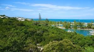 Turtle Cove