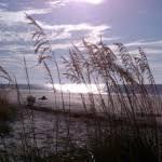 Folly Field Beach