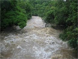 Mameyes River