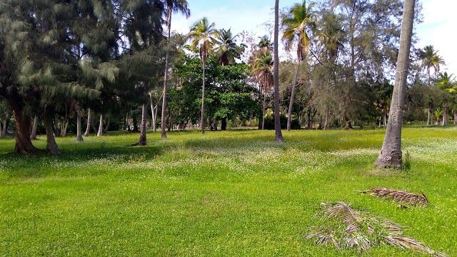 Luquillo Beach
