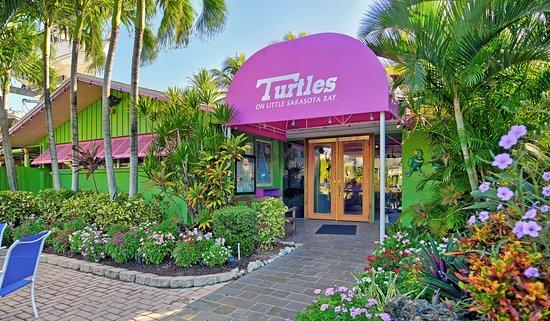 Turtle's