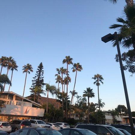 Gelson's Market