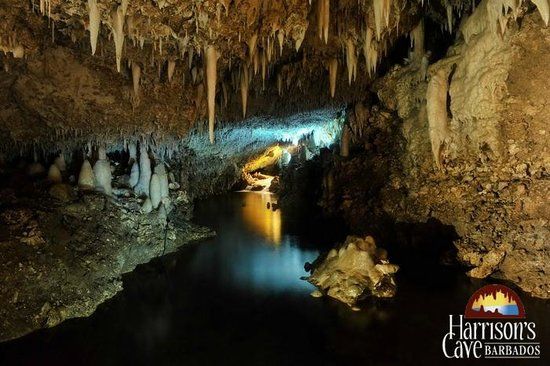 Harrison's Cave