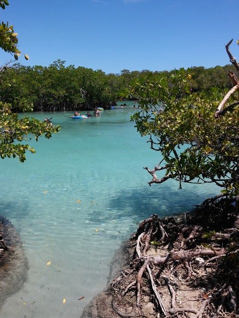 Isla de Gilligan