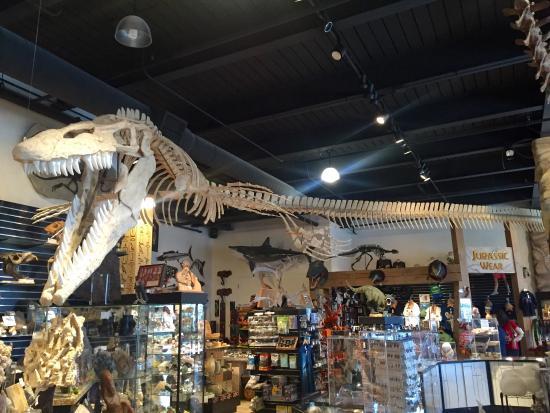 The Dinosaur Store