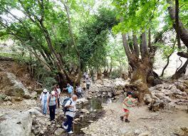 Gorge of Diktamou