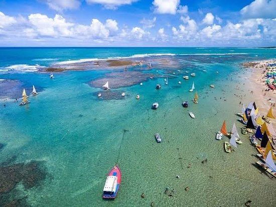 Natural Pools Porto De Galinhas